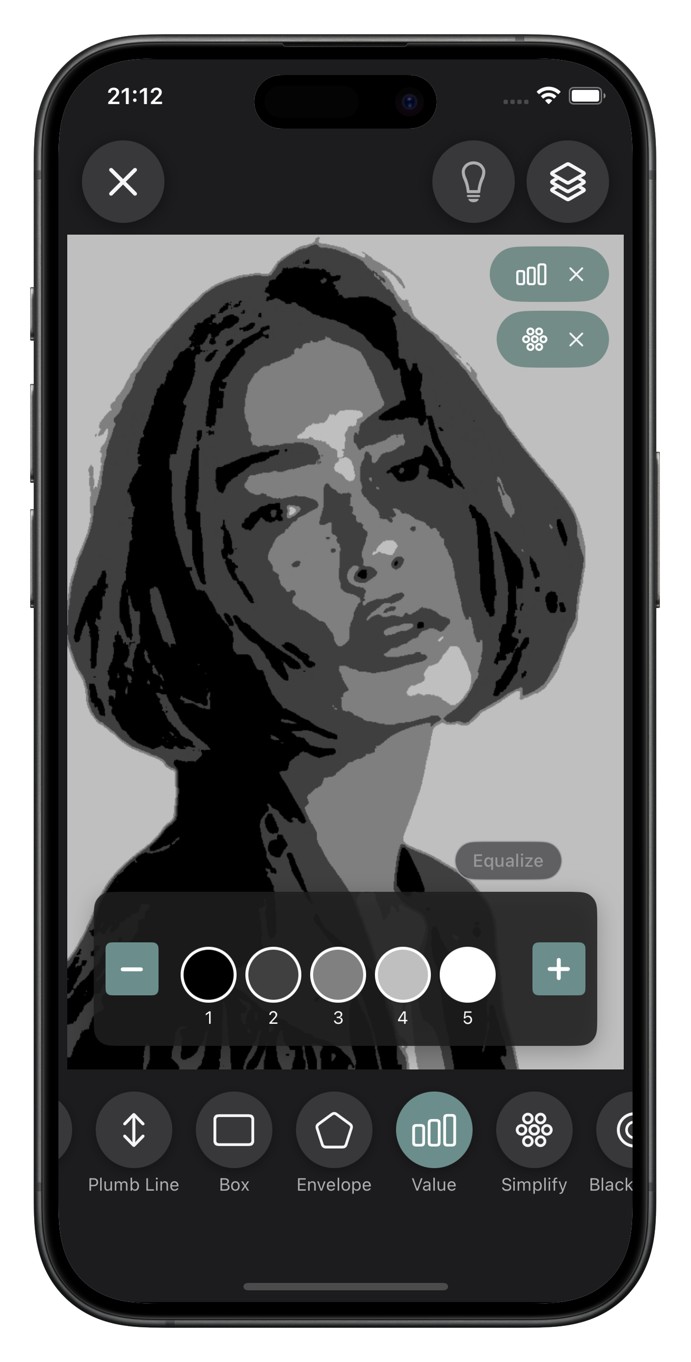 Artist Tools value study reducing a portrait to its tonal structure
